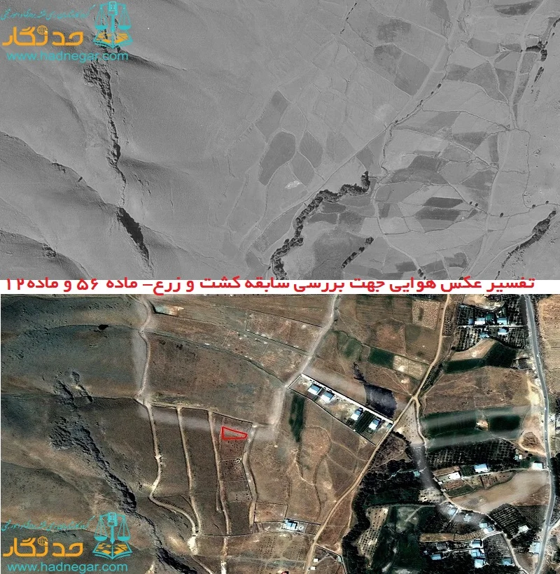 کارشناس رسمی تفسیر عکس هوایی تهران